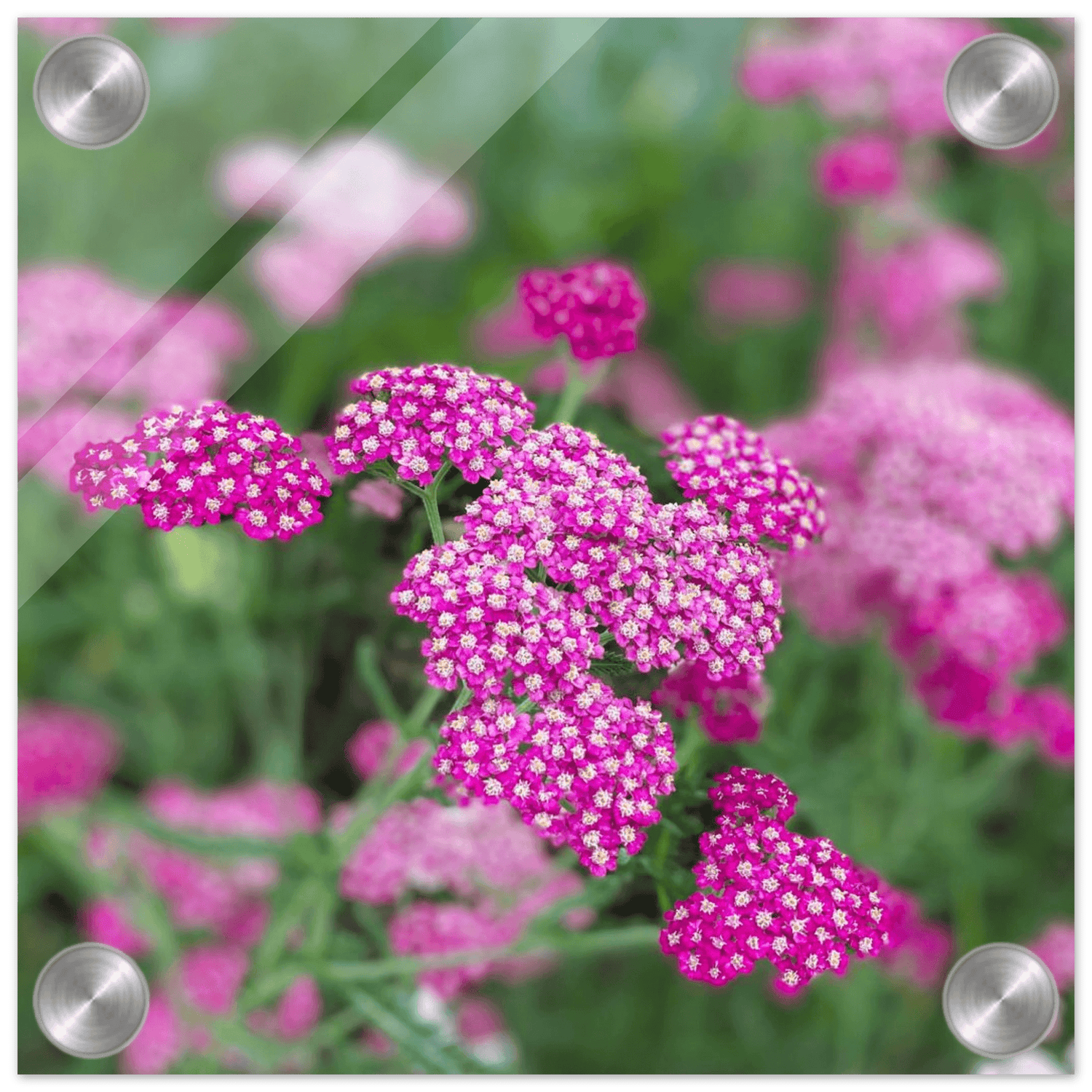 Wall Art - S&J Pictures