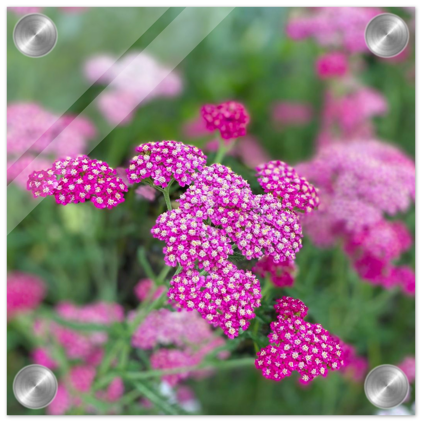 a6ac0442-f44c-499e-8cc6-4b36cfeb49de