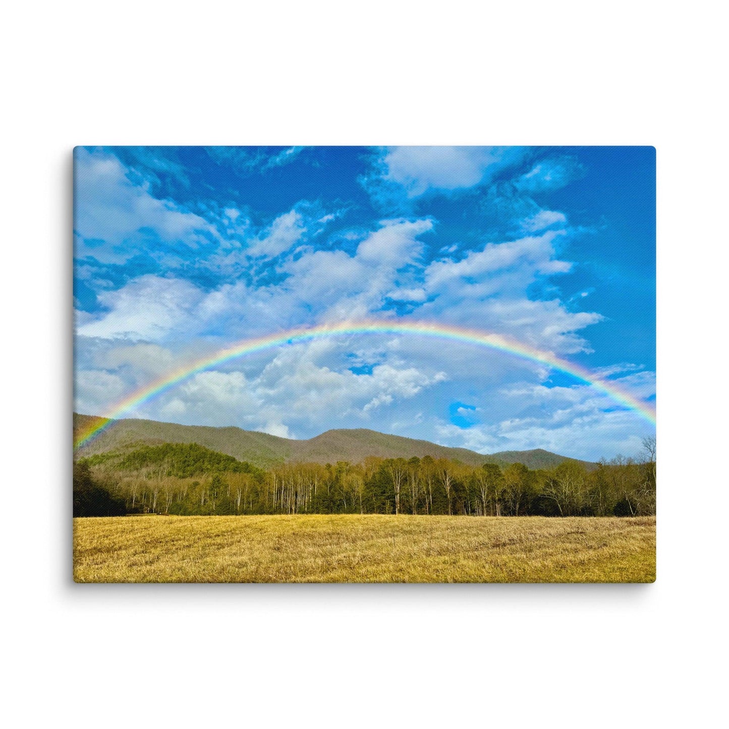 Rainbow on Christmas at Smokey Mountain - Canvas - S&J Pictures