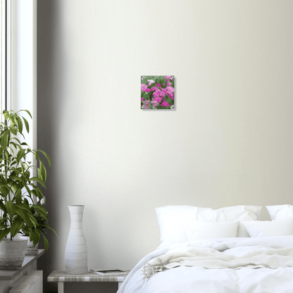 Pink Flowers on Acrylic - S&J Pictures
