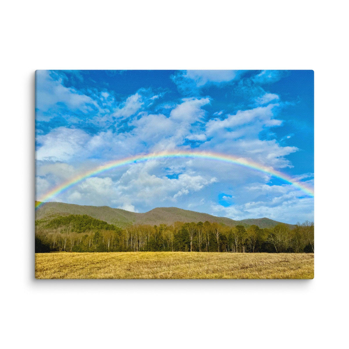 Rainbow on Christmas at Smokey Mountain Canvas - National Park Art