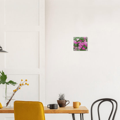 Pink Flowers on Acrylic - S&J Pictures