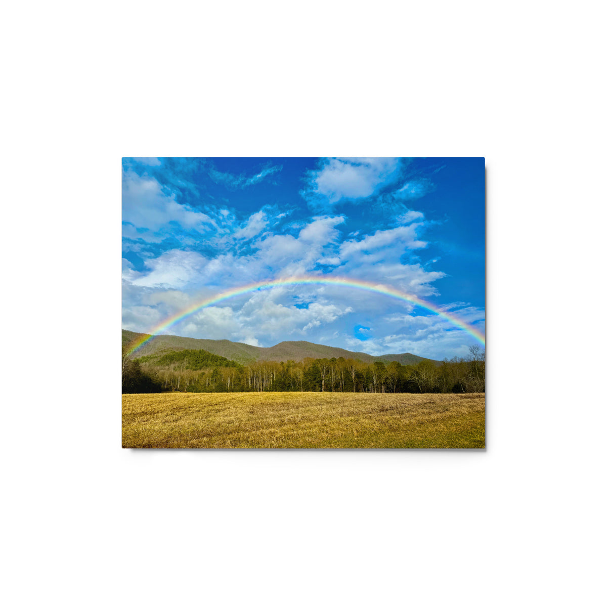 Rainbow at Smokey Mountain National Park Metal Print